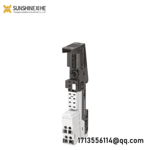 SIEMENS 6ES7193-4CE10-0AA0: Advanced Terminal Module for Efficient Control Solutions