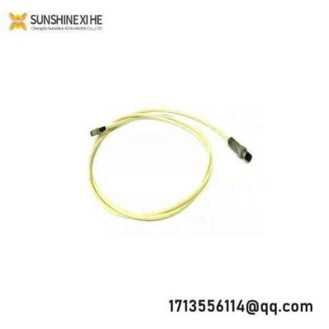 BENTLY 10244-27-50-01 Vibration Monitoring Module