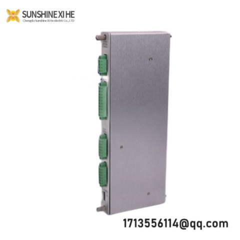 BENTLY 125800-01 Custom Processing Module