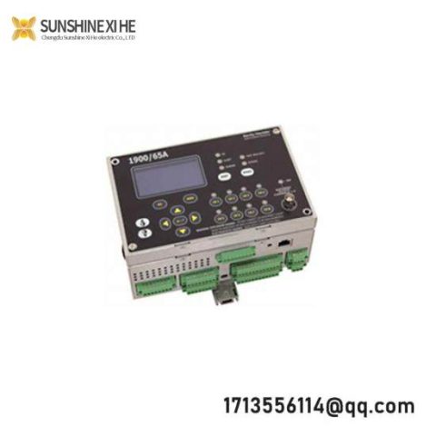 Bently Nevada 1900/65A-00-00-01-00-00, Advanced General Purpose Equipment Monitor