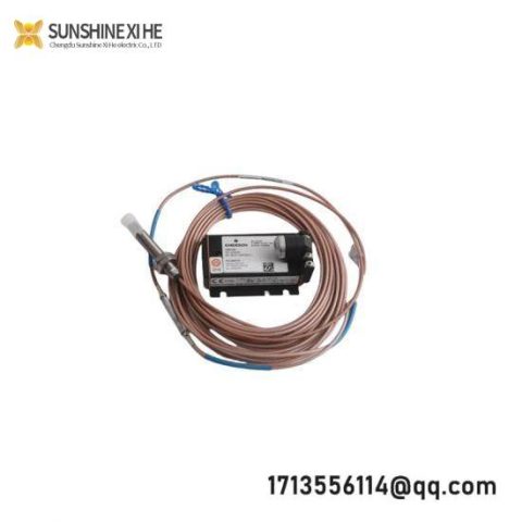 EMERSON PMC-IO-PROZESSOR Industrial Process Controller