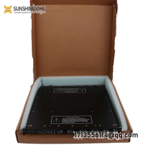 Invensys Triconex 9761-210 Panel Field Termination