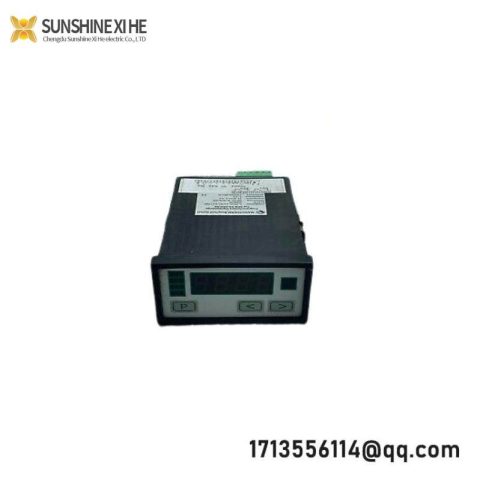 Negele Prozessoren-Anzeige DPM-GS-2GW-S Digital Display, NEGELE-DPM-GS-2GW-S