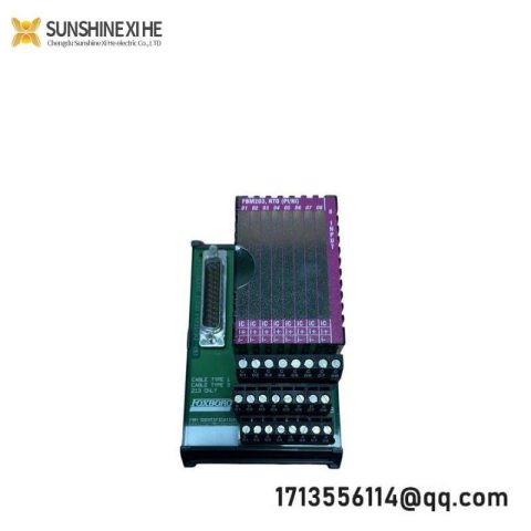 Foxboro P0916AEOC Terminal Card: Advanced Control Solution for Industrial Automation