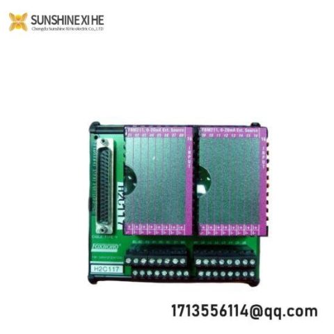 Foxboro P0916JT I/A Series Module