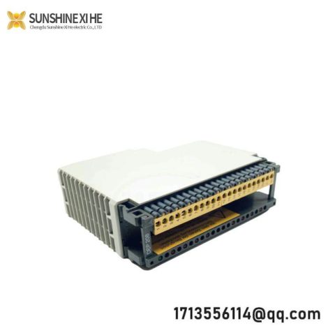 Schneider AS-BDEP-208 Discrete Output Module for Industrial Automation