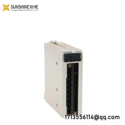 Schneider BMXAMM0600 Mixed Analog I/O Module