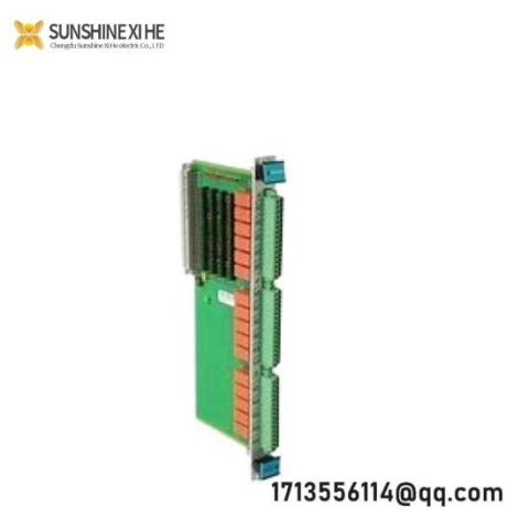 VIBRO METER VM600 RLC16 200-570-000-211: Precision Measurement Solutions