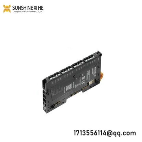 Weidmuller RM-16DO: Remote I/O Module for Industrial Automation, 200 Characters
