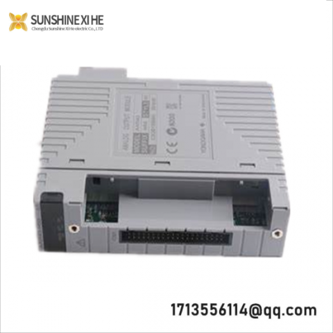 YOKOGAWA AAI543-H53 S1 Analog Input/Output Module