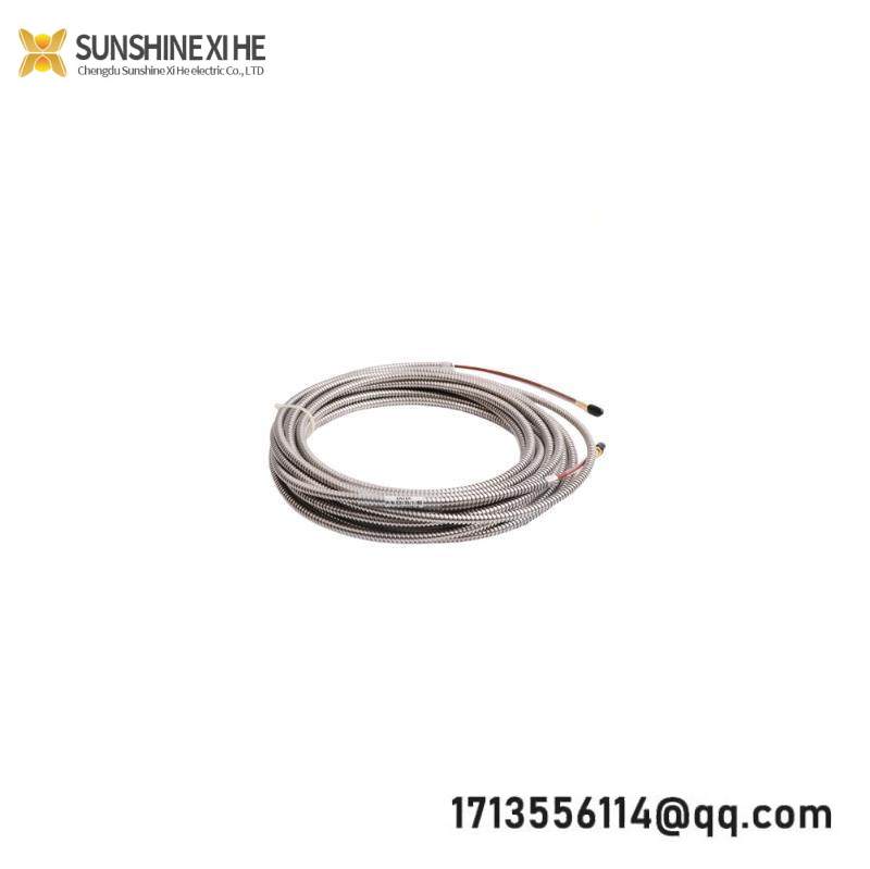 ENTEK E2170/1/80: Industrial Extension Cable, Armored, 8 Meter