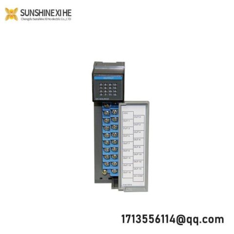 AB 1746-OB16 Digital I/O Module - Advanced Control Solutions