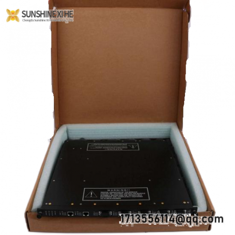 Triconex 9761-210 Panel Field Termination Module for Industrial Automation